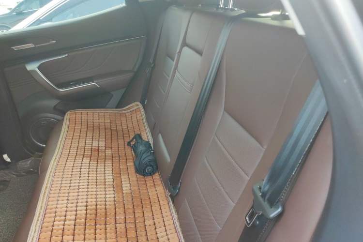 Used Wey VV5 2017 2.0T Ultra-Luxury Version Left Rear Seat
