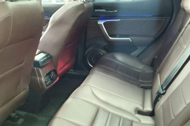 Used Wey VV5 2017 2.0T Ultra-Luxury Version Left Rear Seat