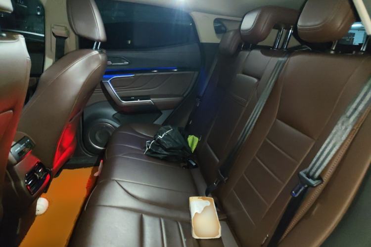 Used Wey VV5 2017 2.0T Ultra-Luxury Version Left Rear Seat