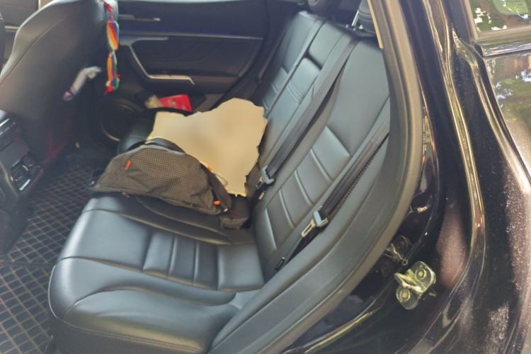 Used Wey VV5 2017 2.0T Ultra-Luxury Version Left Rear Seat