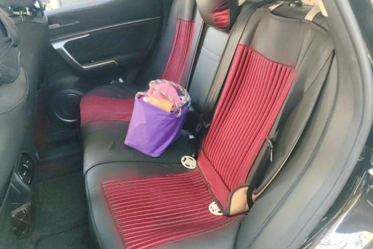 Used Wey VV5 2017 2.0T Ultra-Luxury Version Left Rear Seat