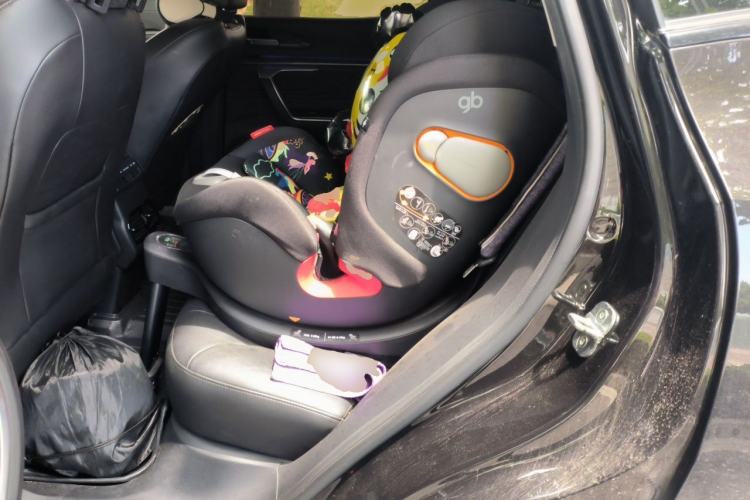 Used Wey VV5 2017 2.0T Flagship Edition Left Rear Seat