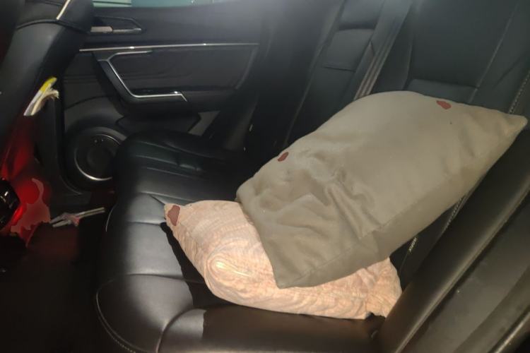 Used Wey VV5 2017 2.0T Ultra-Luxury Version Left Rear Seat