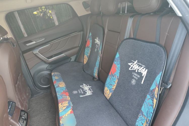 Used Wey VV5 2017 2.0T Ultra-Luxury Version Left Rear Seat