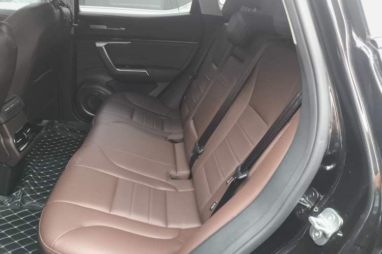 Used Wey VV5 2017 2.0T Ultra-Luxury Version Left Rear Seat