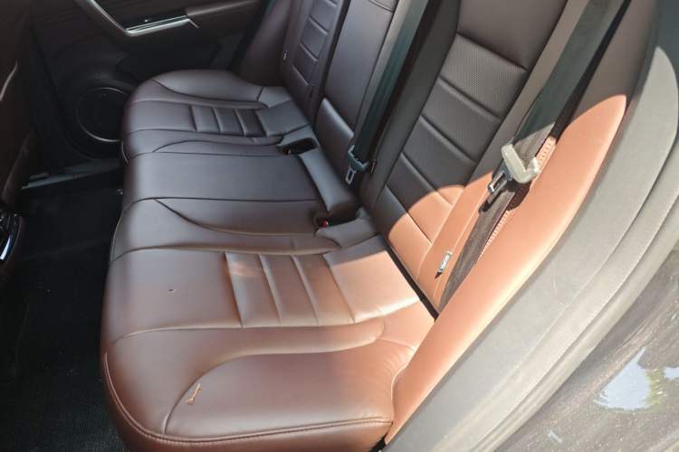 Used Wey VV5 2017 2.0T Ultra-Luxury Version Left Rear Seat