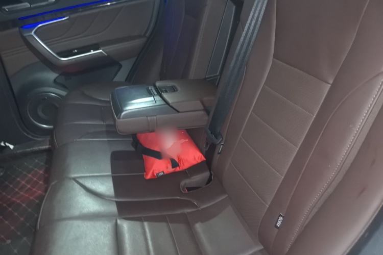 Used Wey VV5 2017 2.0T Flagship Edition Left Rear Seat