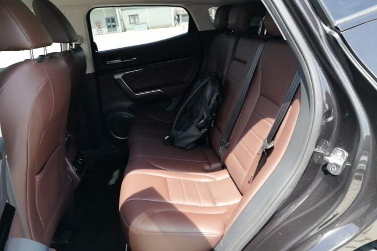 Used Wey VV5 2017 2.0T Ultra-Luxury Version Left Rear Seat