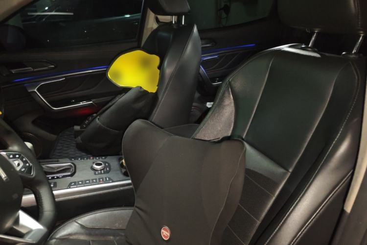 Used Wey VV5 2017 2.0T Ultra-Luxury Version Left Front Seat