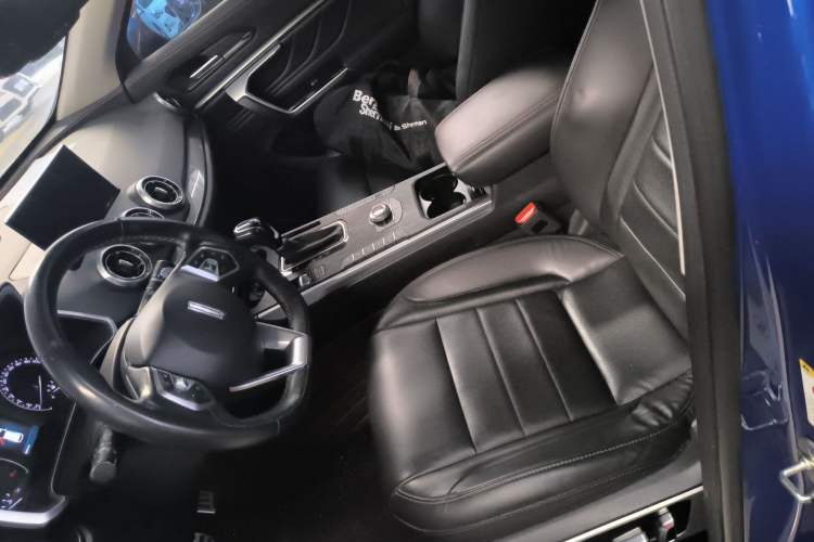 Used Wey VV5 2017 2.0T Ultra-Luxury Version Left Front Seat