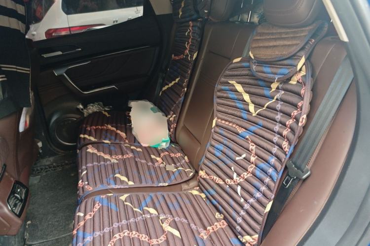 Used Wey VV5 2017 2.0T Ultra-Luxury Version Left Rear Seat