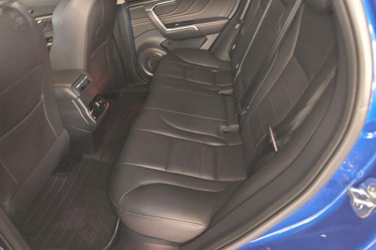 Used Wey VV5 2017 2.0T Ultra-Luxury Version Left Rear Seat