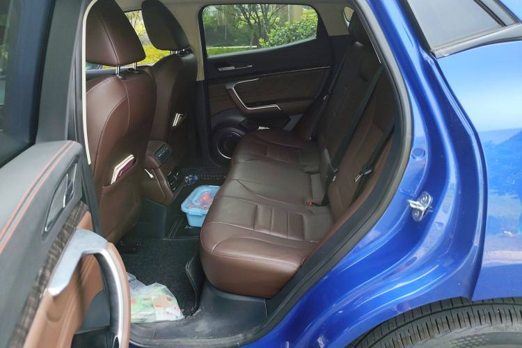 Used Wey VV5 2017 2.0T Ultra-Luxury Version Left Rear Seat