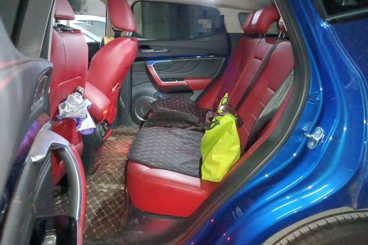 Used Wey VV5 2017 2.0T Ultra-Luxury Version Left Rear Seat