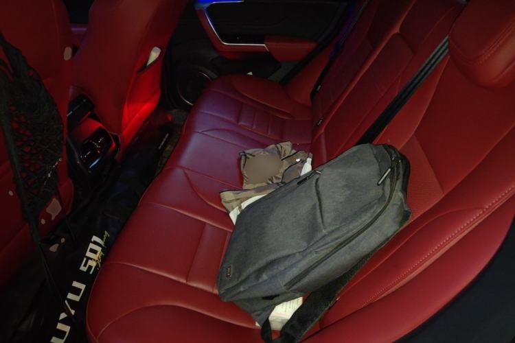 Used Wey VV5 2017 2.0T Ultra-Luxury Version Left Rear Seat
