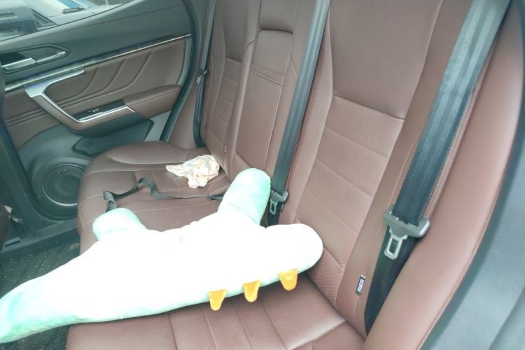Used Wey VV5 2017 2.0T Flagship Edition Left Rear Seat