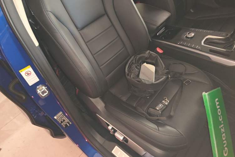 Used Wey VV5 2017 2.0T Ultra-Luxury Version Right Front Seat