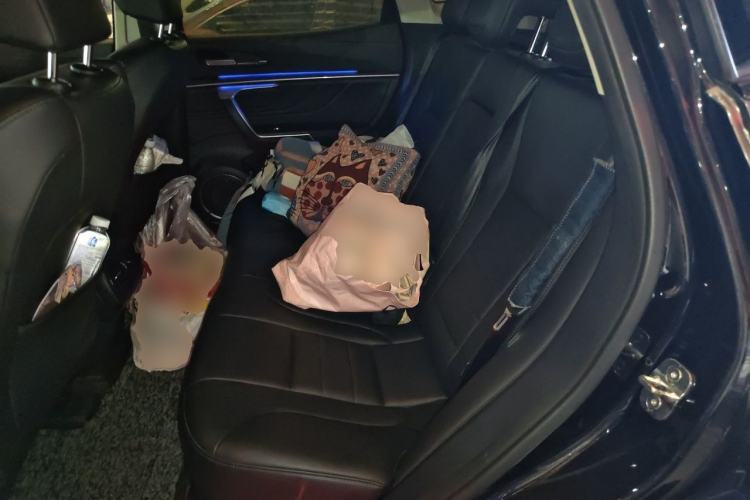Used Wey VV5 2017 2.0T Ultra-Luxury Version Left Rear Seat