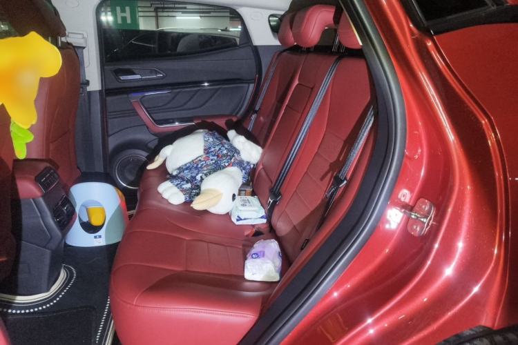 Used Wey VV5 2017 2.0T Ultra-Luxury Version Left Rear Seat