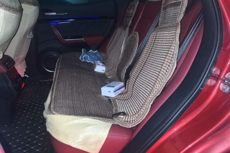 Used Wey VV5 2017 2.0T Ultra-Luxury Version Left Rear Seat