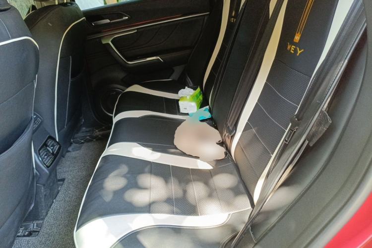 Used Wey VV5 2017 2.0T Flagship Edition Left Rear Seat