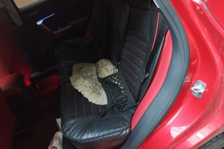 Used Wey VV5 2017 2.0T Flagship Edition Left Rear Seat
