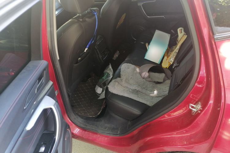Used Wey VV5 2017 2.0T Ultra-Luxury Version Left Rear Seat