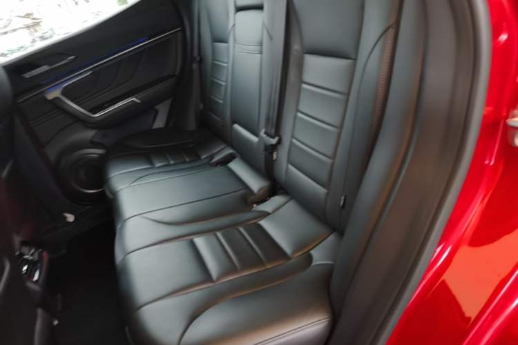 Used Wey VV5 2017 2.0T Ultra-Luxury Version Left Rear Seat