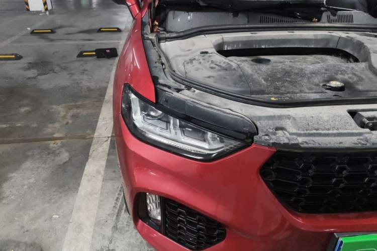 Used Wey VV5 2017 2.0T Ultra-Luxury Version Right Front Headlight