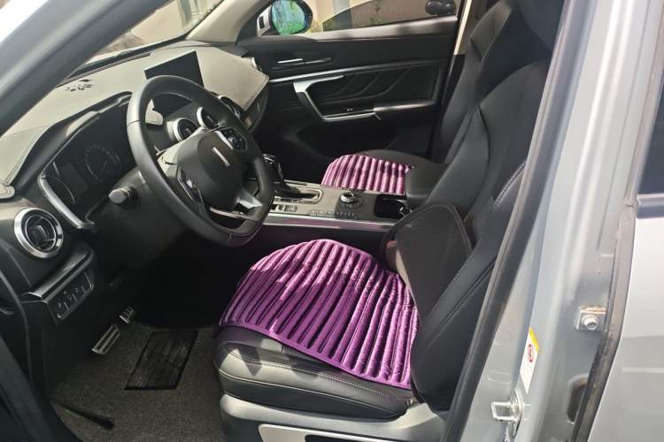 Used Wey VV5 2017 2.0T Ultra-Luxury Version Left Front Seat