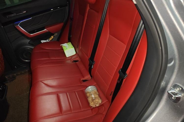 Used Wey VV5 2017 2.0T Ultra-Luxury Version Left Rear Seat