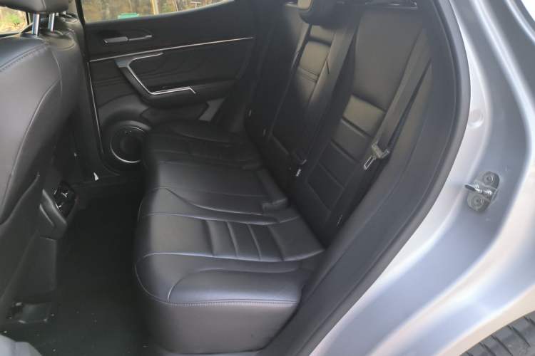 Used Wey VV5 2017 2.0T Ultra-Luxury Version Left Rear Seat