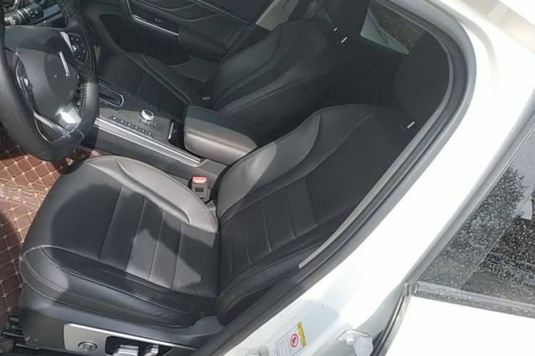 Used Wey VV5 2017 2.0T Ultra-Luxury Version Left Front Seat