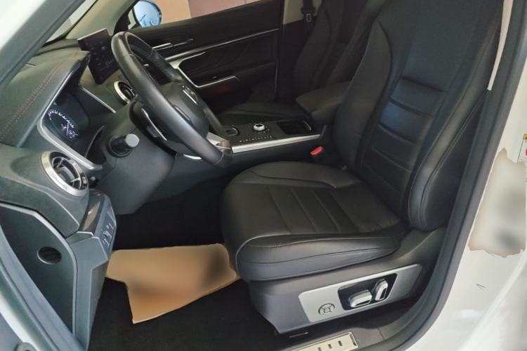 Used Wey VV5 2017 2.0T Ultra-Luxury Version Left Front Seat