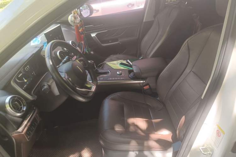 Used Wey VV5 2017 2.0T Flagship Edition Left Front Seat