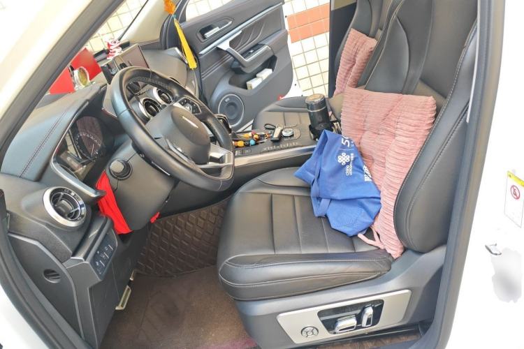 Used Wey VV5 2017 2.0T Ultra-Luxury Version Left Front Seat