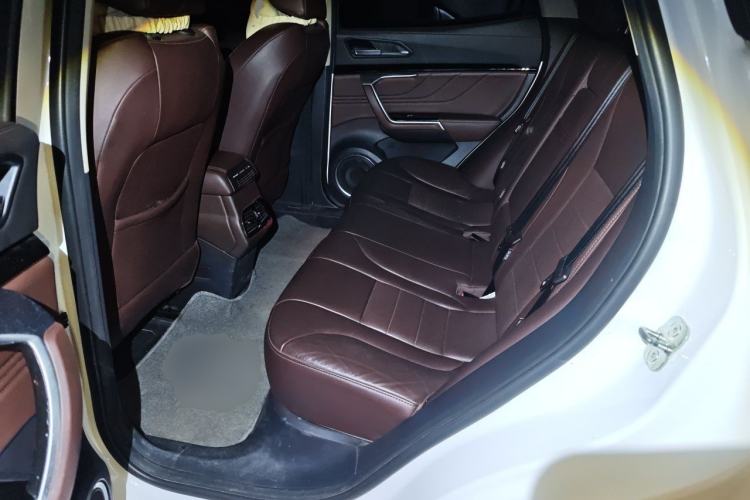 Used Wey VV5 2017 2.0T Ultra-Luxury Version Left Rear Seat