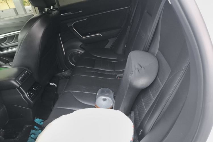 Used Wey VV5 2017 2.0T Ultra-Luxury Version Left Rear Seat