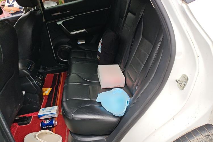 Used Wey VV5 2017 2.0T Flagship Edition Left Rear Seat