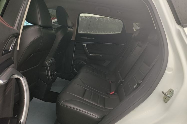 Used Wey VV5 2017 2.0T Ultra-Luxury Version Left Rear Seat