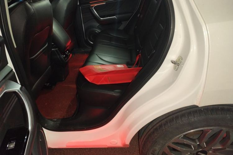 Used Wey VV5 2017 2.0T Ultra-Luxury Version Left Rear Seat