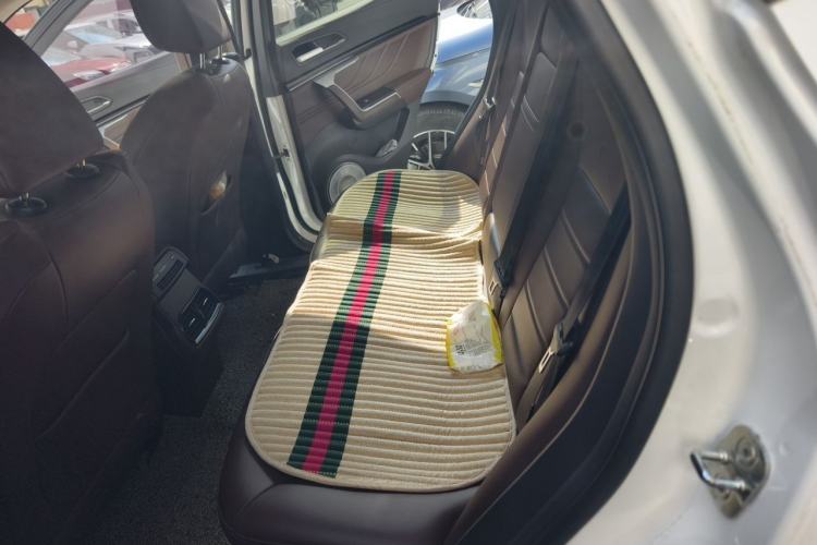 Used Wey VV5 2017 2.0T Ultra-Luxury Version Left Rear Seat