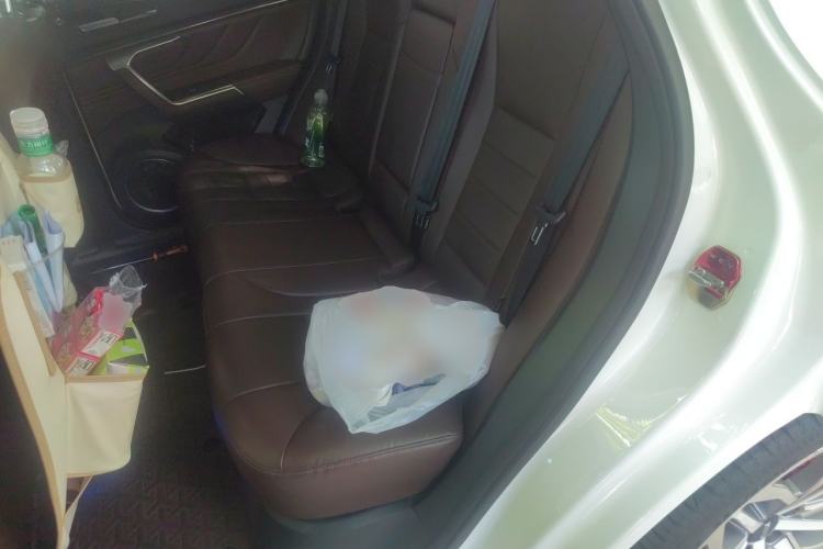 Used Wey VV5 2017 2.0T Ultra-Luxury Version Left Rear Seat