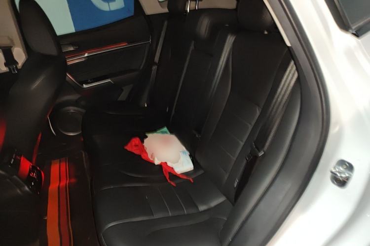 Used Wey VV5 2017 2.0T Ultra-Luxury Version Left Rear Seat