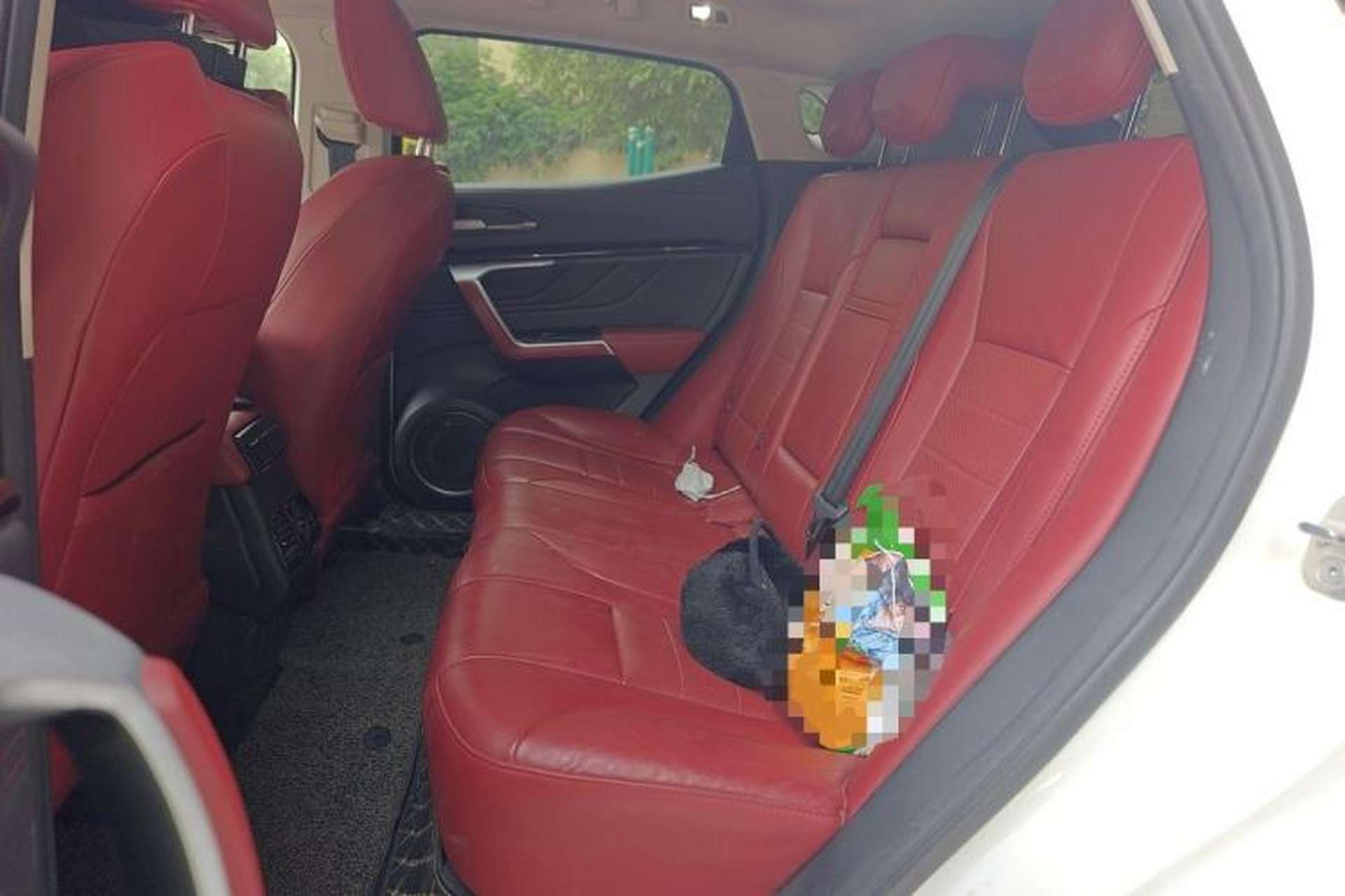 Used Wey VV5 2017 2.0T Ultra-Luxury Version Left Rear Seat