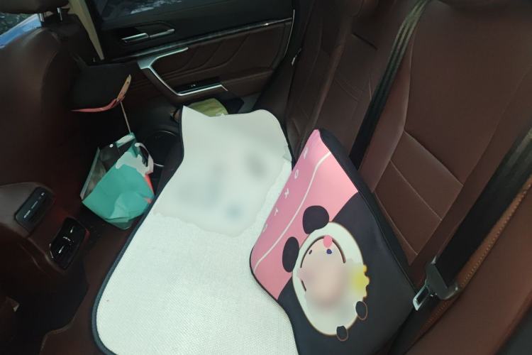 Used Wey VV5 2017 2.0T Flagship Edition Left Rear Seat