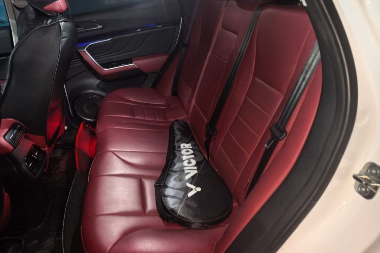 Used Wey VV5 2017 2.0T Ultra-Luxury Version Left Rear Seat