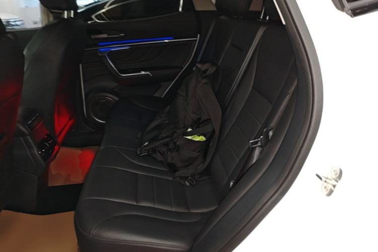Used Wey VV5 2017 2.0T Ultra-Luxury Version Left Rear Seat