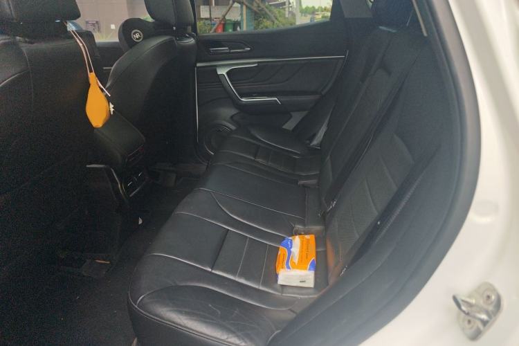 Used Wey VV5 2017 2.0T Ultra-Luxury Version Left Rear Seat