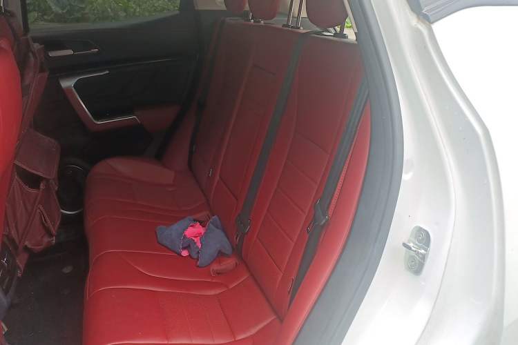 Used Wey VV5 2017 2.0T Ultra-Luxury Version Left Rear Seat